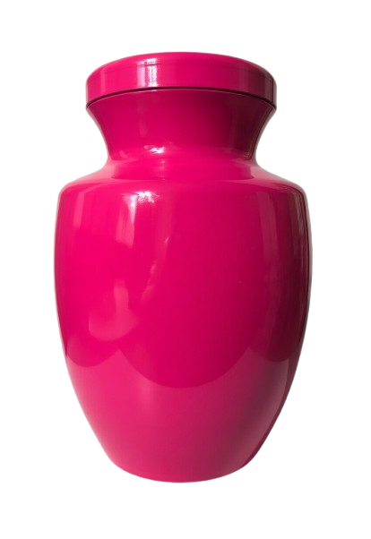 Gloss Pink